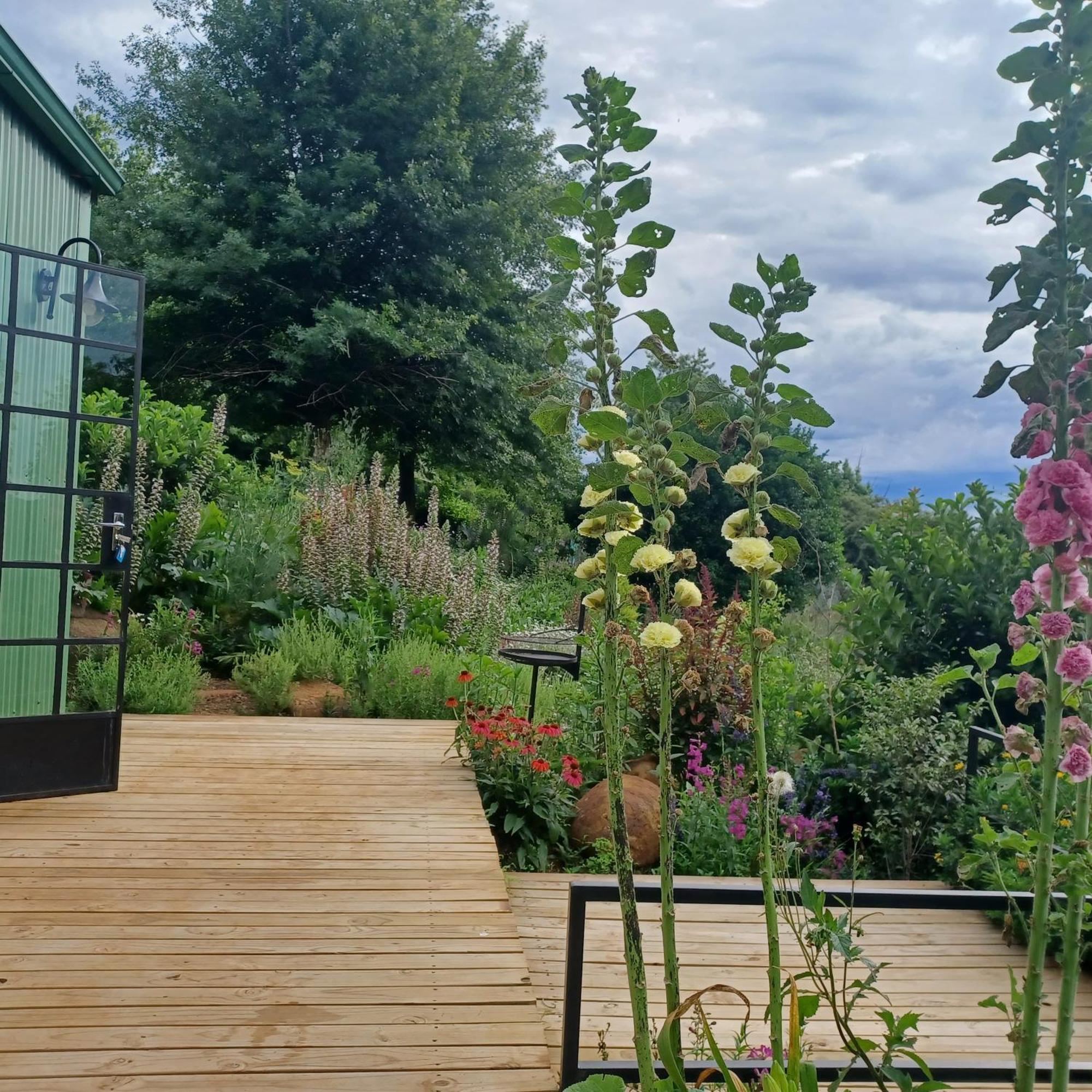 Little Fields Country House And Cottages Howick Exterior foto