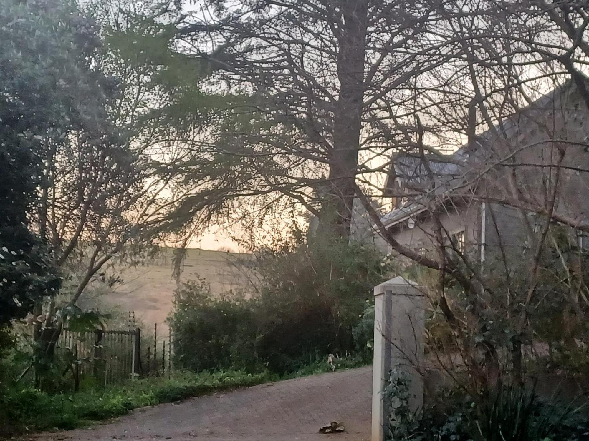 Little Fields Country House And Cottages Howick Exterior foto